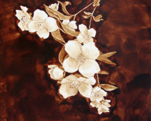 Angel Sarkela-Saur created this original "Kukkia" Coffee Art&reg; painting. It features beautiful white flowers over a dark, rich background.