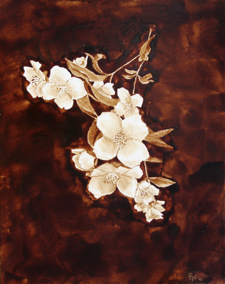 Angel Sarkela-Saur created this original "Kukkia" Coffee Art® painting. It features beautiful white flowers over a dark, rich background.