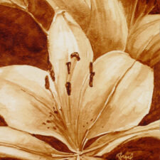Angel Sarkela-Saur created this original "Lilja" Coffee Art® painting. It features a beautiful lily blooming.